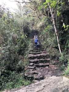 Trek from Bridge up to main entrance Machu Picchu