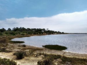 Ria Formosa Reserve, Algarve