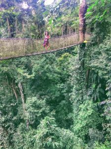 Skytrees Canopy in Mengla County (望天树勐腊县 - Wang Tian Shu Mengla Xian)